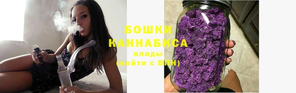 сатива Бородино