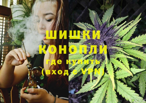 гидра Бронницы