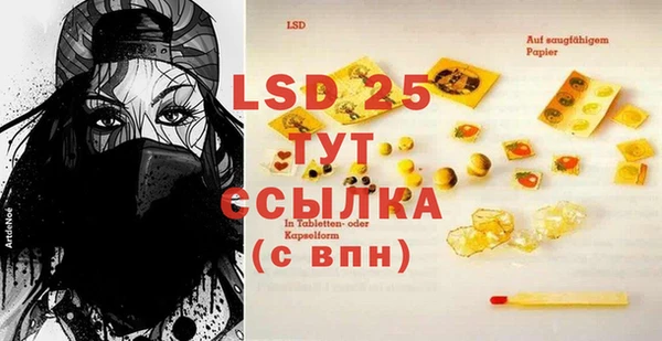 сатива Бородино